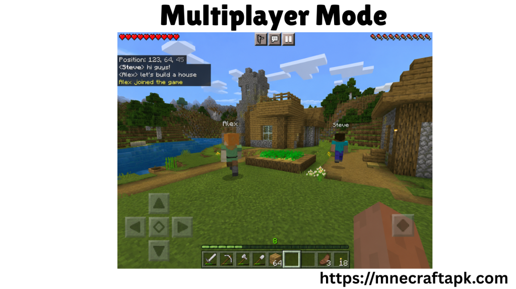 Multiplayer Mode APK